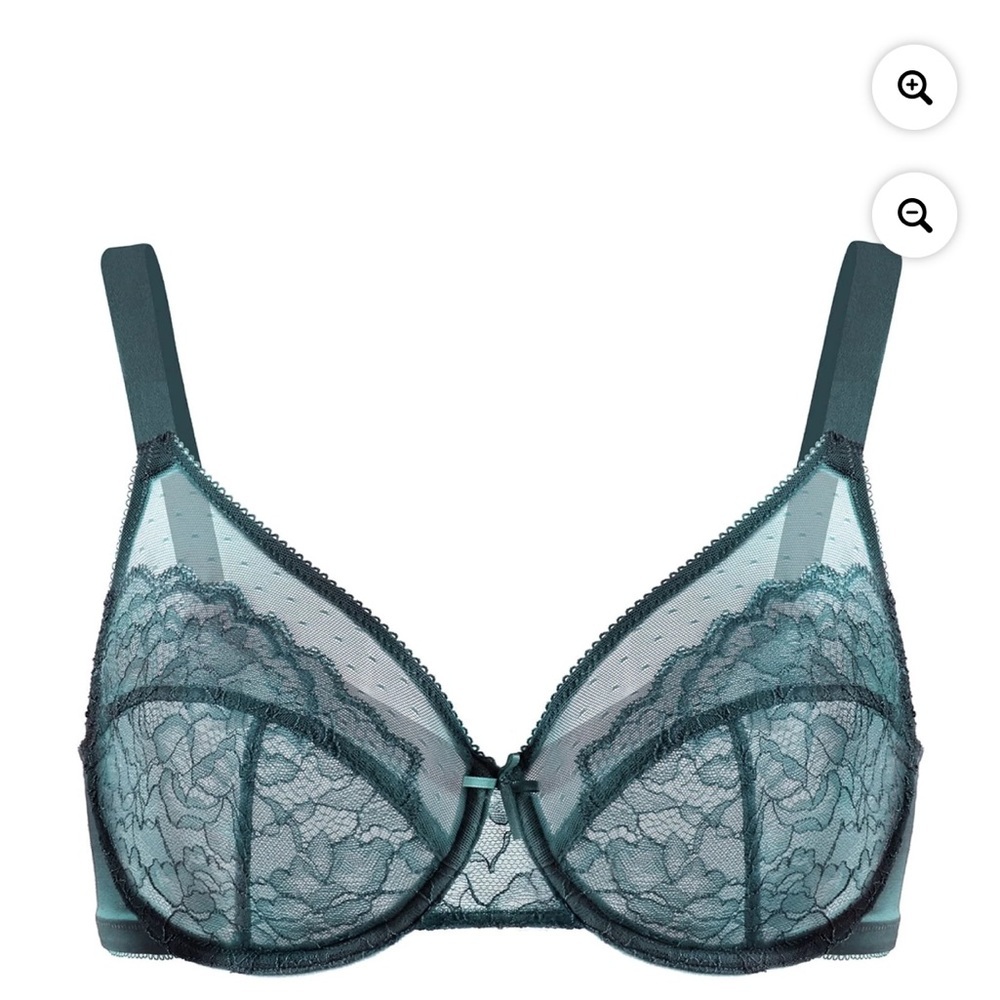 HSIA Enchante Lace enchant Blue Unlined Underwire Bra Sz.42DDD bnwt
